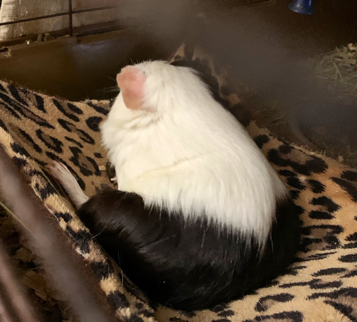 Did I offend you, ma'am?