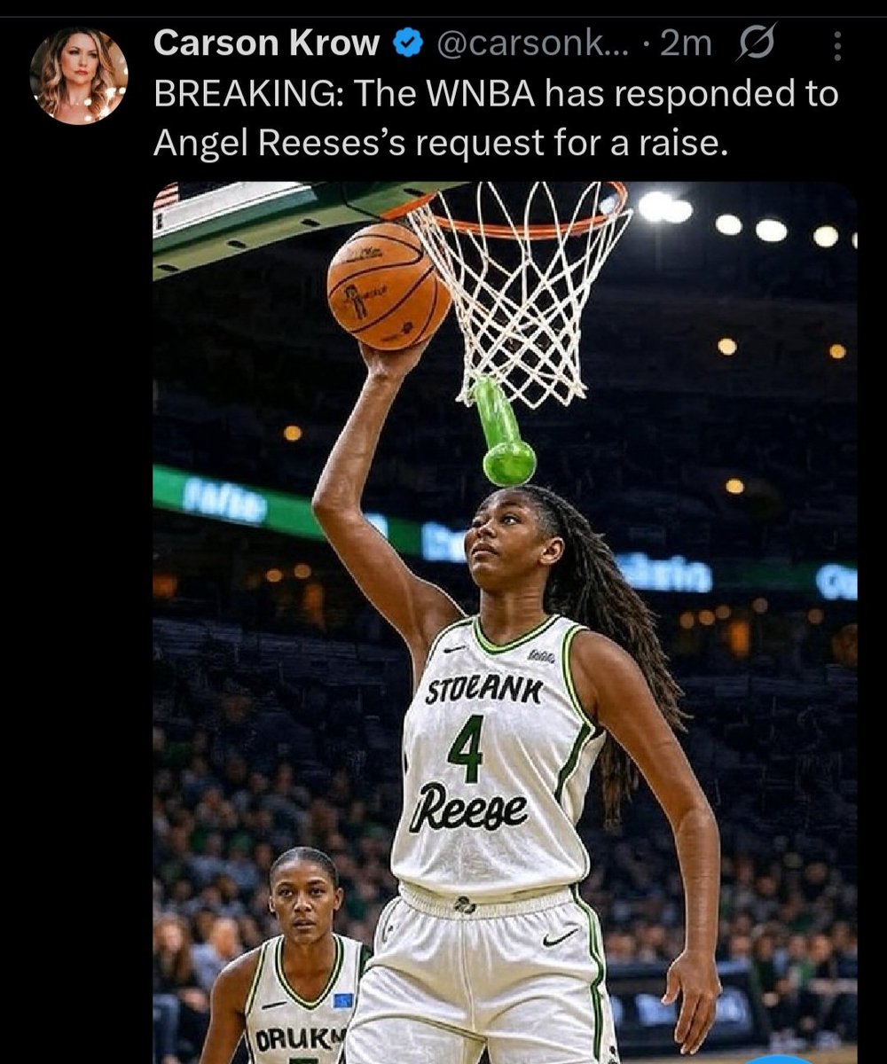 One of the funniest posts regarding the WNBA....