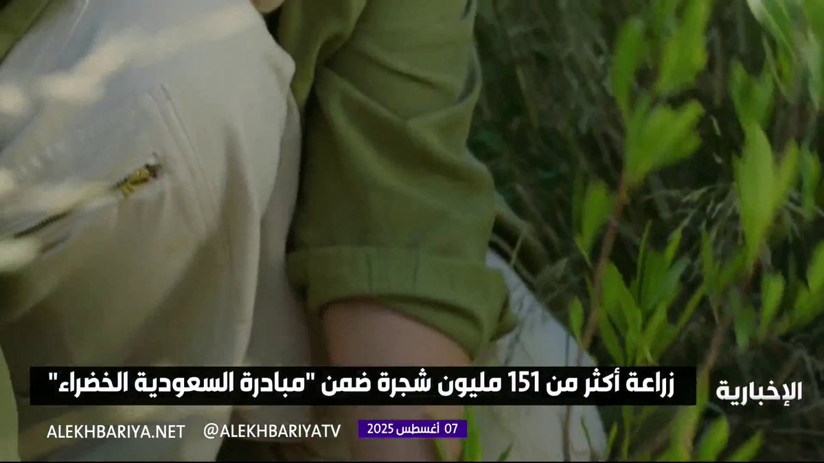 زراعة أكثر من 151 مليون شجرة ضمن "مبادرة السعودية الخضراء" #الإخبارية زراعة أكثر من 151 مليون شجرة ضمن "مبادرة السعودية الخضراء" #الإخبارية