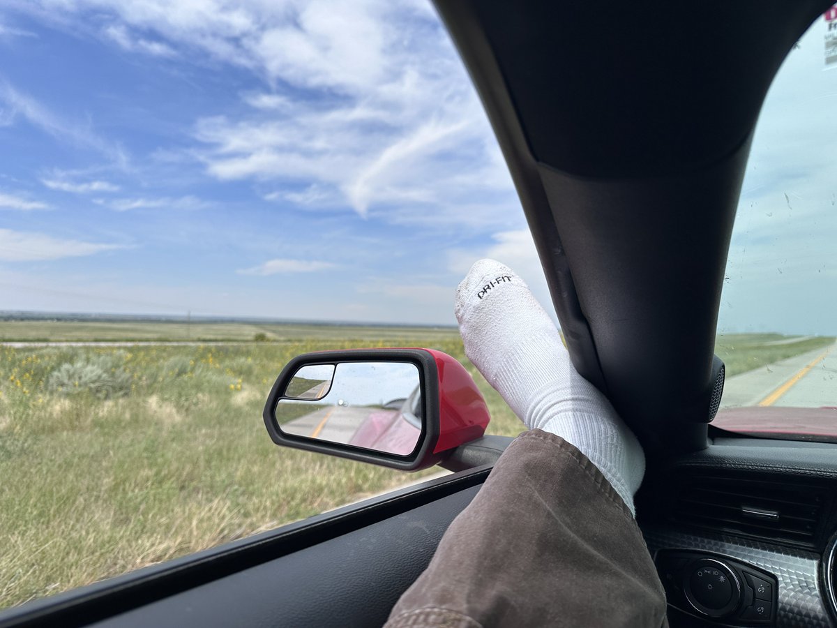 benni boi 🌲 (@bennni_boi) on Twitter photo 