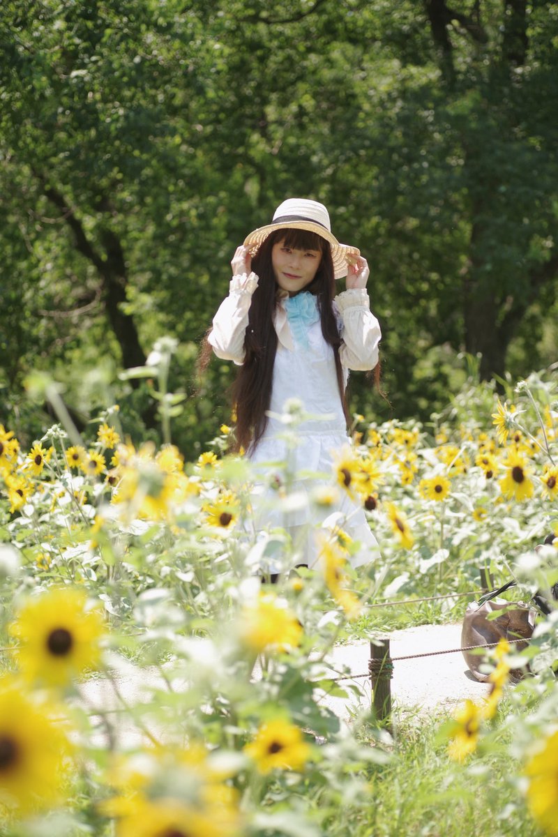 おはようございます🌻

去年撮影して頂いたお写真です☀️