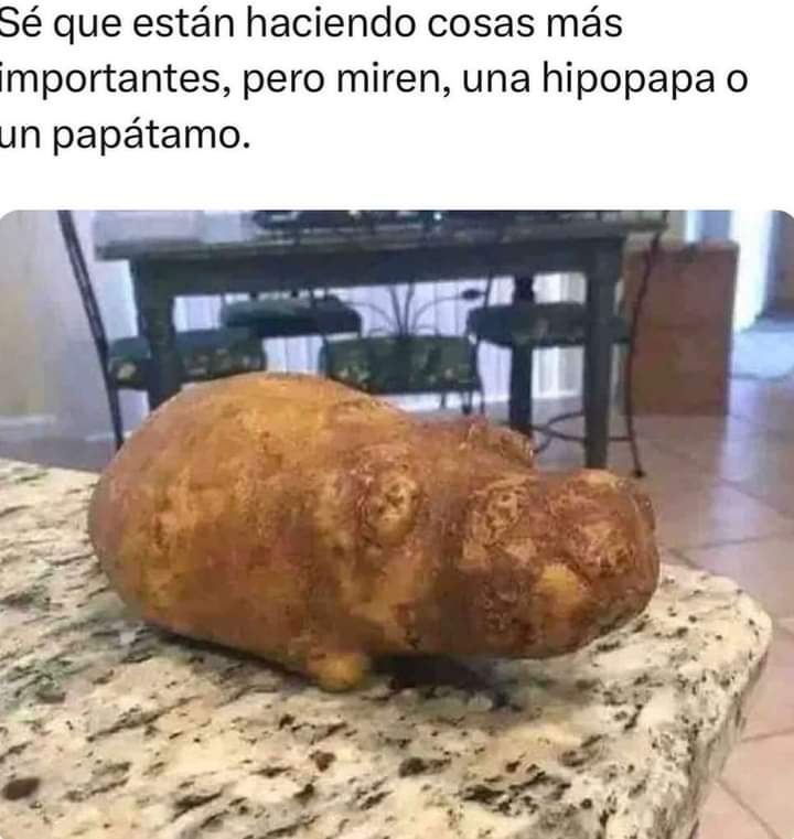YandreNeko's tweet photo. @BiologiaDesde0 Yo tengo la HIPOPAPA! https://t.co/xMVkro4GLv