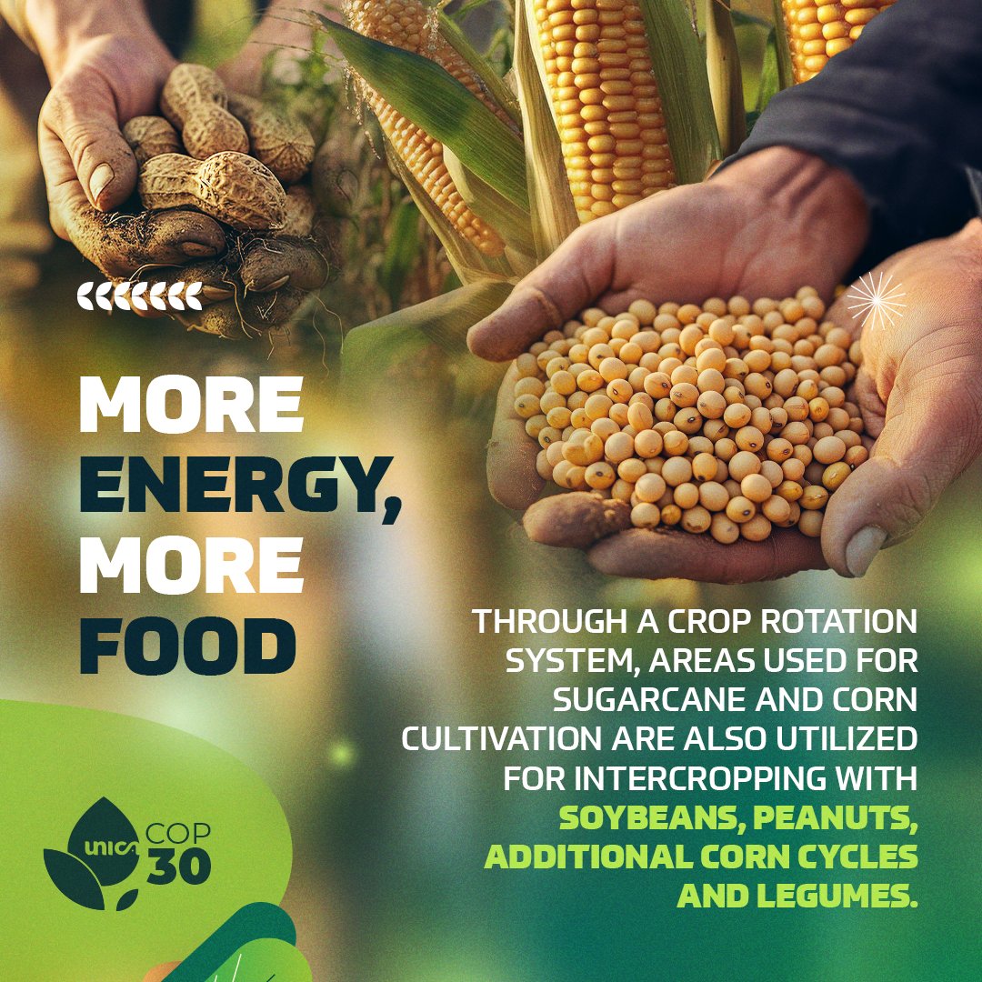 Brazil proves that food and clean energy production can go hand in hand. With crop rotation, tech, and sustainable farming, it leads in both biofuels and food security.
At #Expo2025 Osaka? Visit the Brazilian Pavilion to learn more.