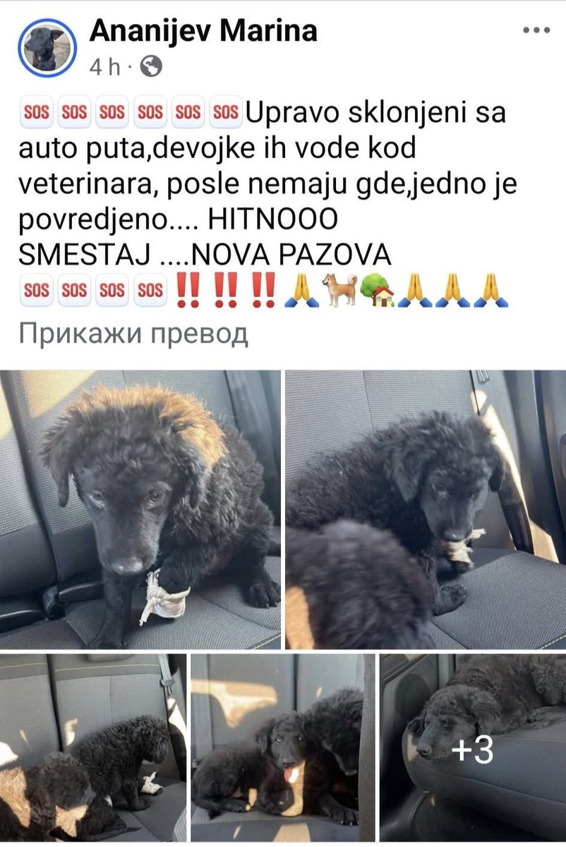 Zamoljeni smo da podelimo. Njima hitno treba pomoć.
