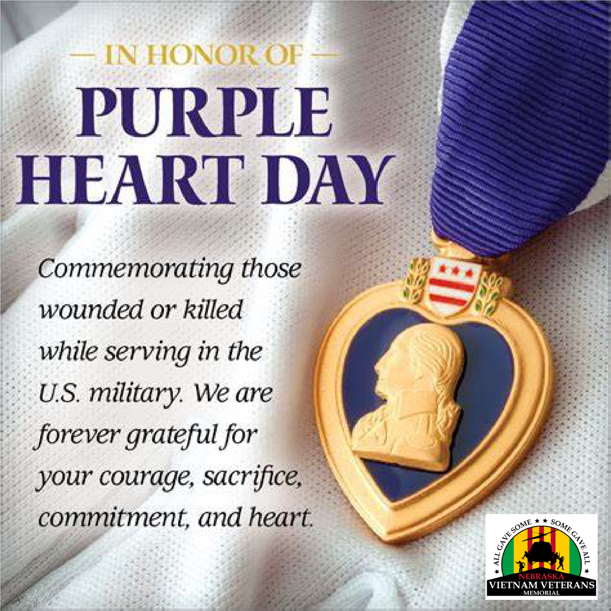 NVVM Foundation tweet media