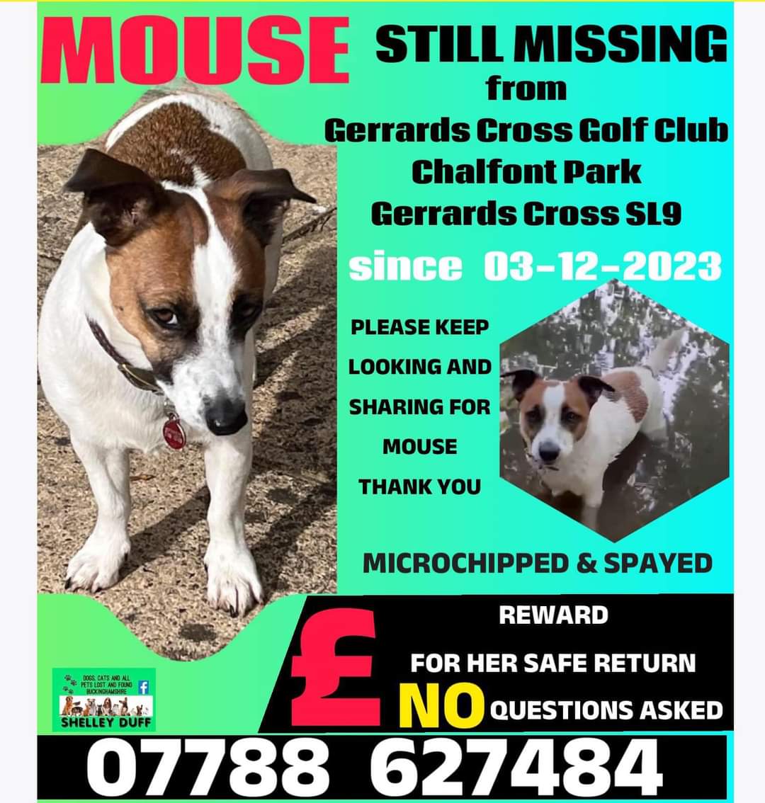 "I had strong feelings today that Mouse is out there &amp; alive, I don’t always get them but I have today.
The 16 August will be Mouse’s fifth birthday, I can’t believe she’ll be five😢 
Does she still remember me?
I hope so, I know I’m never ever going to let her be forgotten😢"