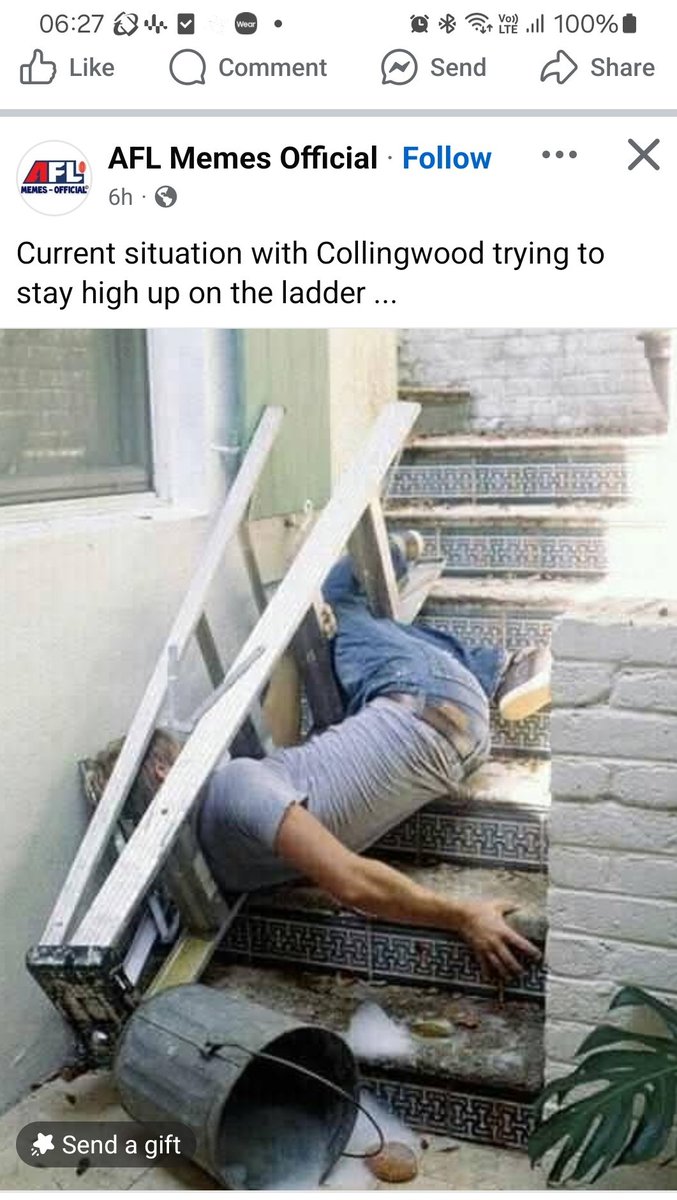 Ag feeds you (I'm back)🖕 (@noleftt) on Twitter photo 