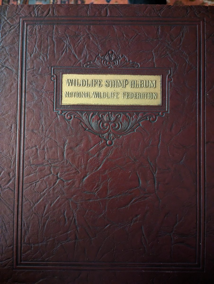 Robert Francis tweet media