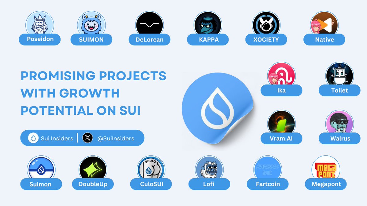 PROMISING PROJECTS WITH GROWTH POTENTIAL ON SUI 🚀

Things are getting wild on #SUI! New gems, powerful communities, and next-level ideas are pushing $SUI forward fast 🔥

Don’t sleep on these standout projects 👇

Like and RT to support us 🙏

#Sui #SuiNetwork #memecoins