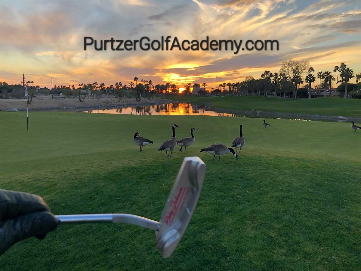 🐓 𝘽𝙤𝙤𝙠 𝙔𝙤𝙪𝙧 𝙇𝙚𝙨𝙨𝙤𝙣 𝙀𝙖𝙧𝙡𝙮 𝙈𝙤𝙧𝙣𝙞𝙣𝙜 🕖
before the day gets TOO  HOT 🌞
Learn more> PurtzerGolfAcademy.com 
#azgolf #golf #pga