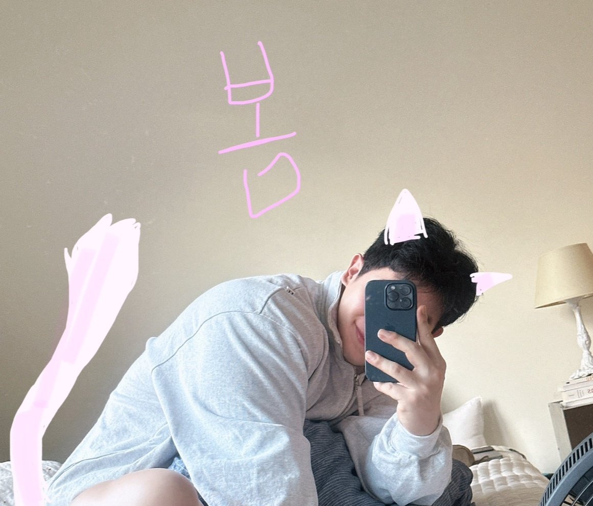 wonhohmy0301's tweet photo. 세계 고냥이의 날😽
호냥이~ https://t.co/sV93wCU35h