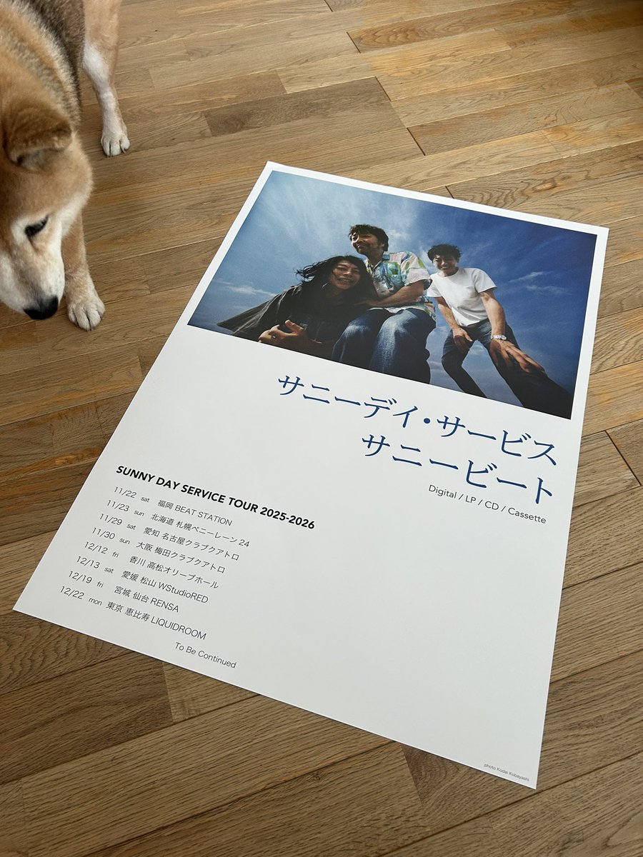 サニーデイ・サービス,新品レコード,曽我部恵一,ポスター付き 2026年最新】サニーデイ ポスターの人気アイテム - メルカリ