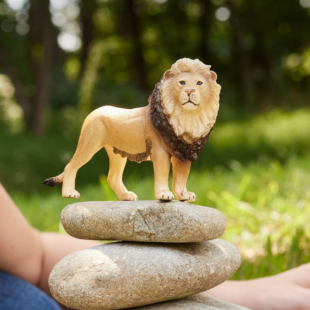 今日は世界ライオンの日
サバンナの王者を称えるとともに、保護の大切さを心に刻みましょう🦁
雄大で、力強く、そして美しい！
「ライオンっていいな～」と思うポイントはどんなところですか？👑

x.gd/0TAcB
#シュライヒ #フィギュア #schleich