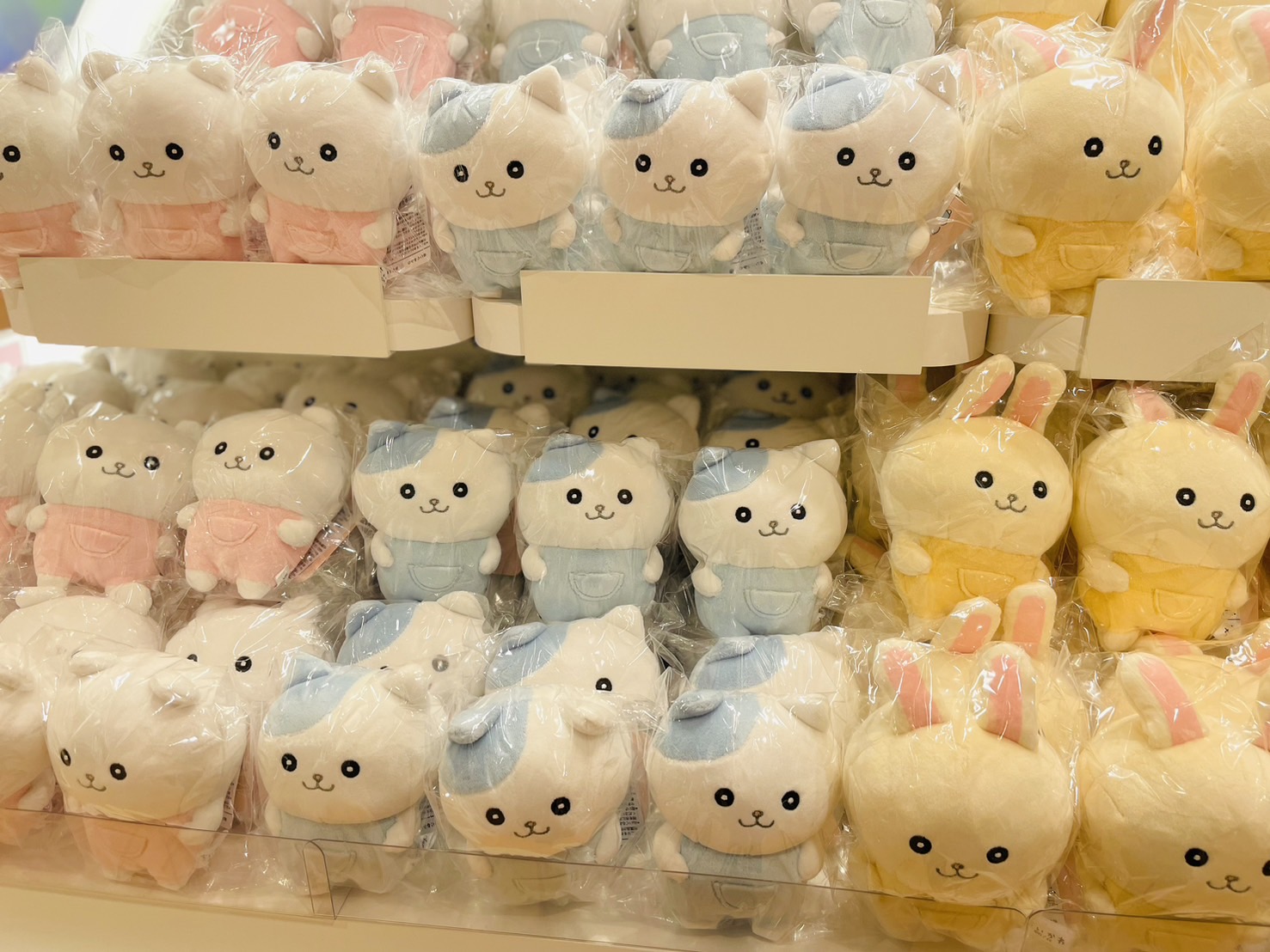 ●ナガノマーケット ぬいぐるみまとめ売り Released on 12 July | Nagano Characters Official Online Store