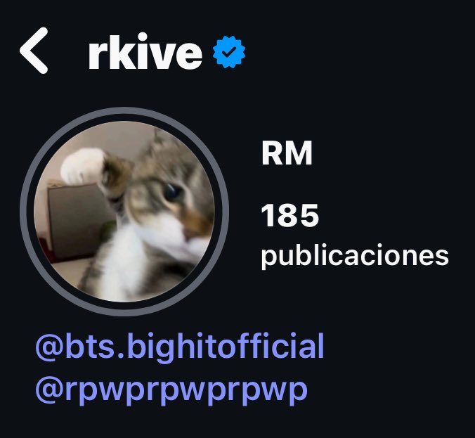 LA NUEVA FOTO DE PERFIL DE NAMJOON EN INSTAGRAM, ES UN GATITO 😭🤏🏻