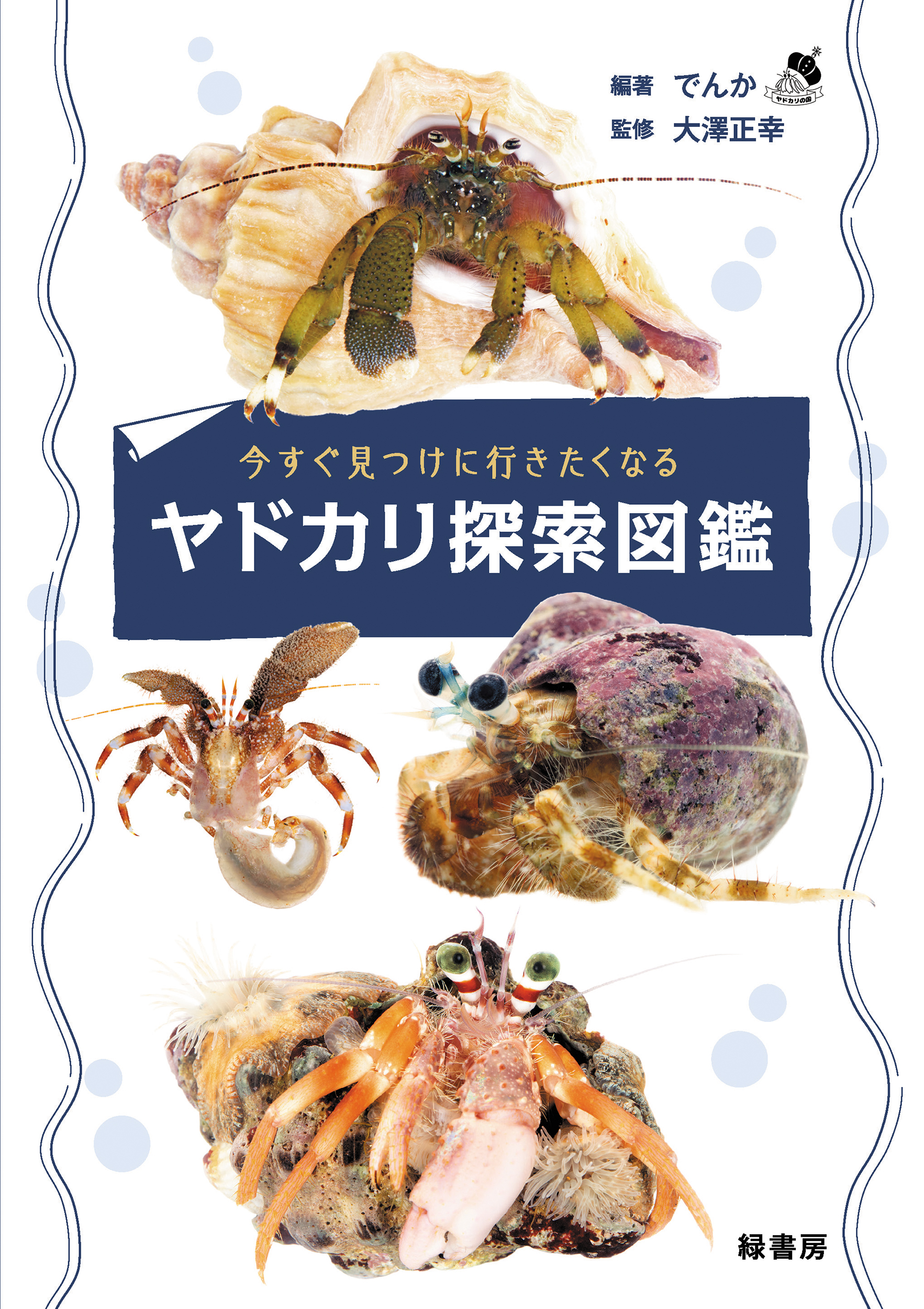でんか@『海のあかちゃん』『ヤドカリ探索図鑑』8月発売