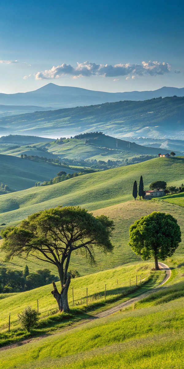 ابوريان (@aboorayan889) on Twitter photo 