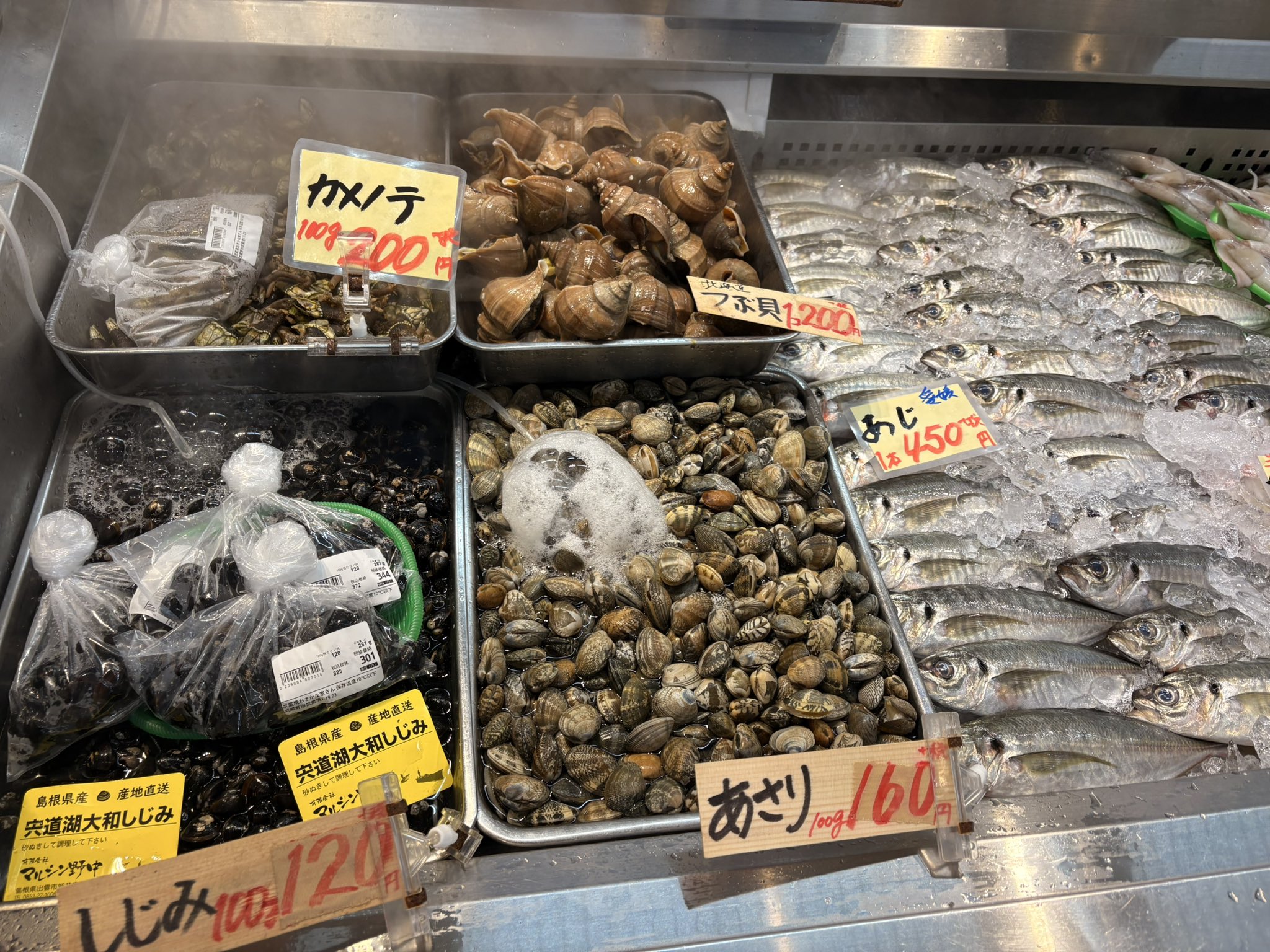 さかな明日発送 武蔵境おさかな家さん【北口店】 on X: 