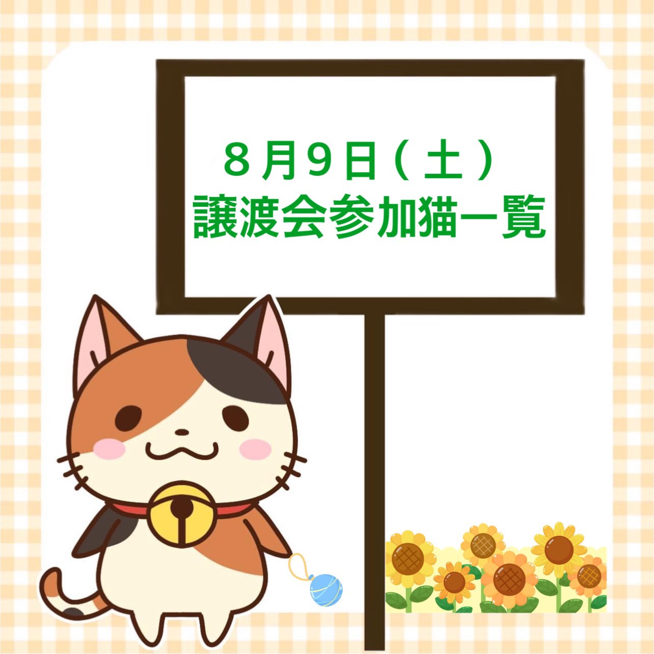 あめゆきねこ あめゆき@保護猫との暮らし (@ameyuki210) • Instagram photos