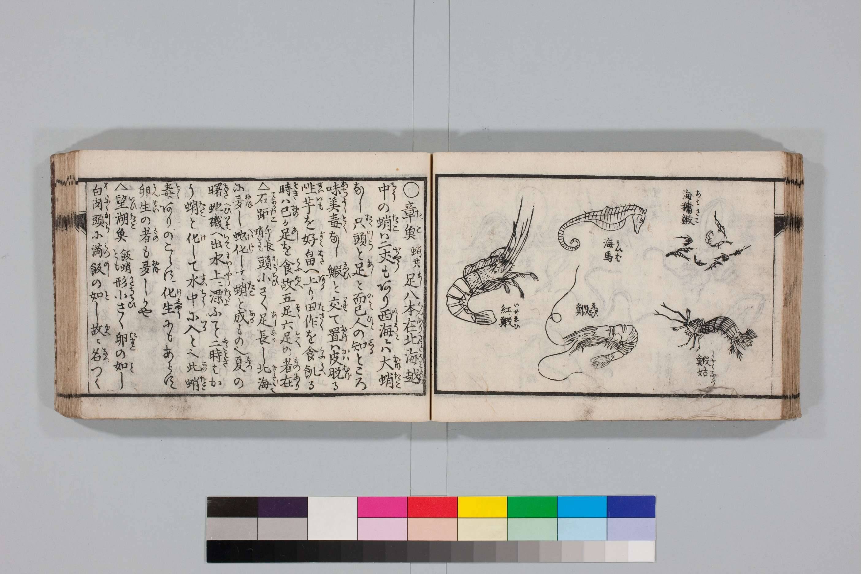 東京海洋大学附属図書館 (@tumsat_library) / X