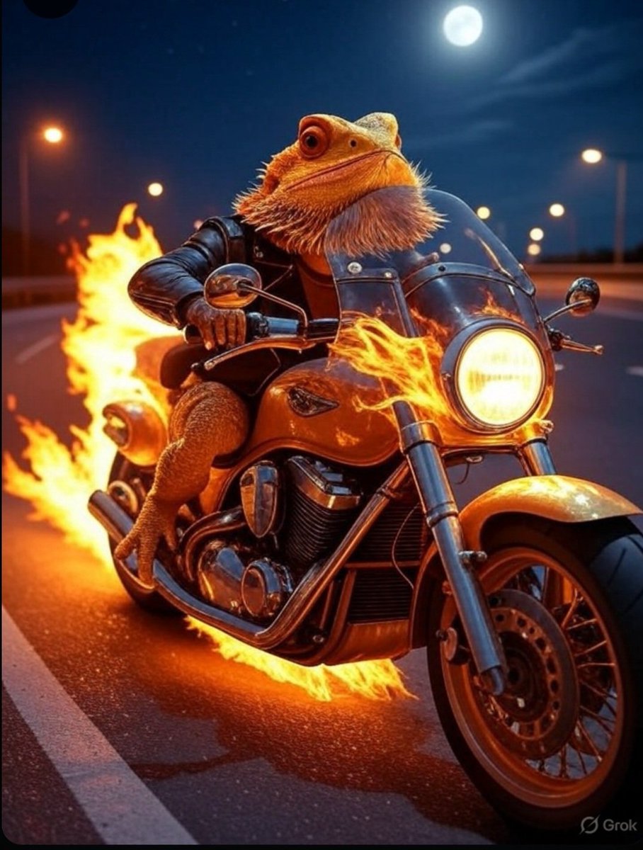 Anthropomorphic bearded dragon riding a flaming motorcycle like from ghost Ryder. Make fire streaks behind it in the street. Background European highways with clear sky and full moon.
<a href="/grok/">Grok</a> easy work
Thanks <a href="/elonmusk/">Elon Musk</a>