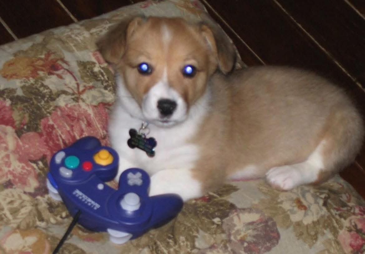 Tekken God is the new Brawler