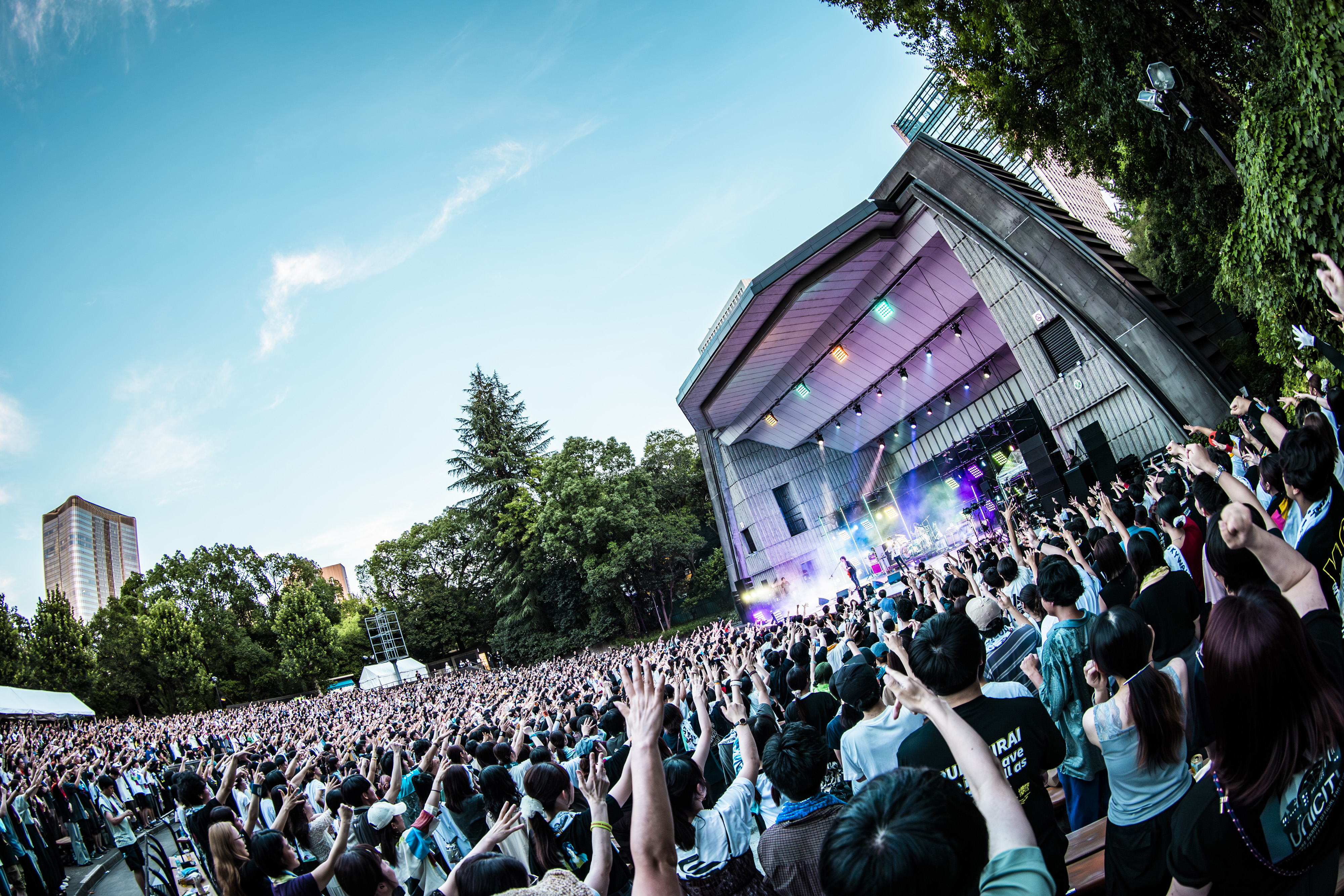学*長様 ハルカミライ　CD,DVDまとめ売り ハルカミライ on X: 