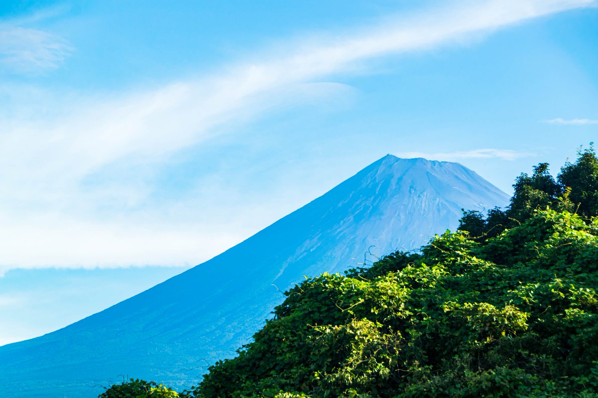 FactoryLabo2016's tweet image. 残暑お見舞い申し上げます

立秋を過ぎてもなお厳しい暑さが続いておりますが、いかがお過ごしでしょうか
平素は一方ならぬお引き立てにあずかり厚く御礼申し上げます
残暑厳しき折、どうぞご自愛のうえお過ごしください

令和七年　立秋　株式会社トーザイクリエイト