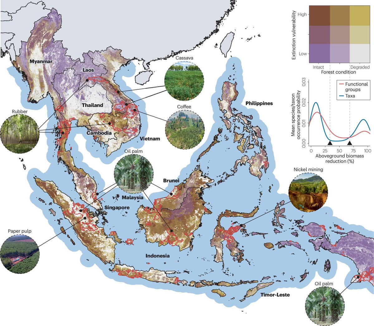 dnltbing's tweet image. Drivers and solutions to Southeast Asia’s biodiversity crisis (Struebig et al. 2025)

nature.com/articles/s4435…