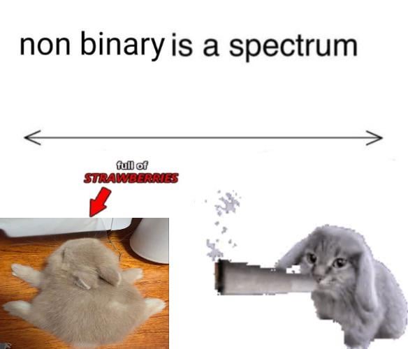 TAG YOURSELF where are you on the non-bunary spectrum !!!!