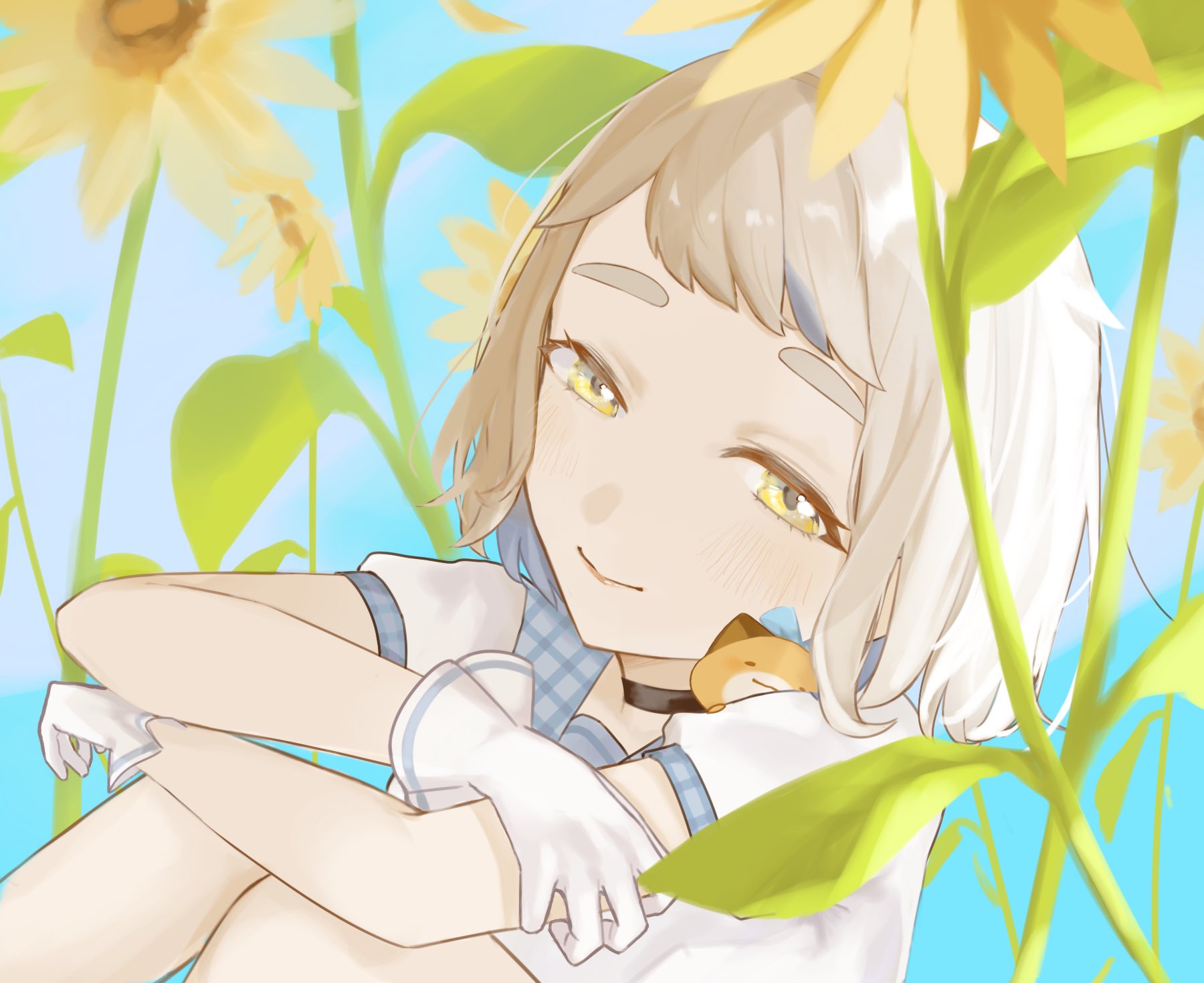 しおにぎり🐹 on X: 