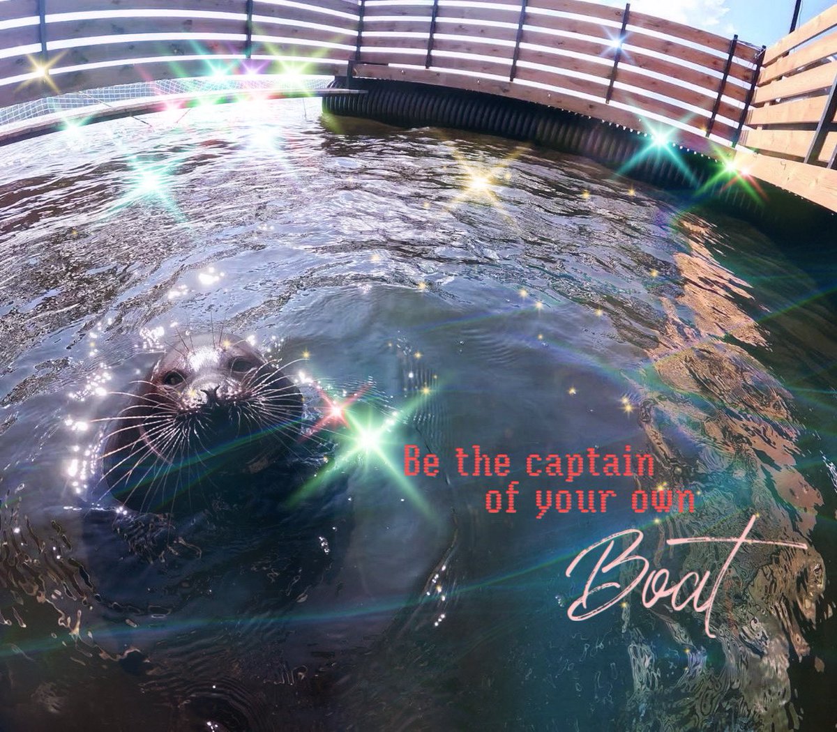 📚 Jo 🏺 (@jorosiebuffie) on Twitter photo 