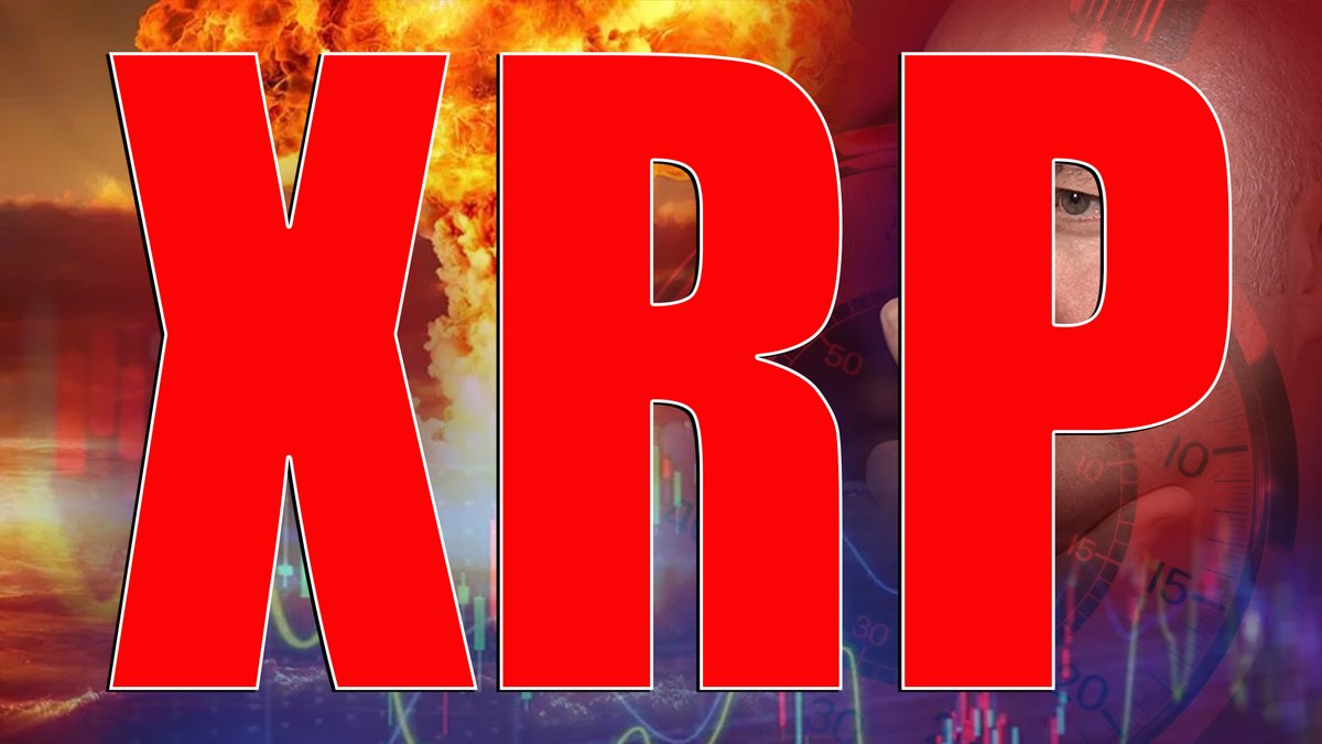 Martyn Lucas Investor tweet media