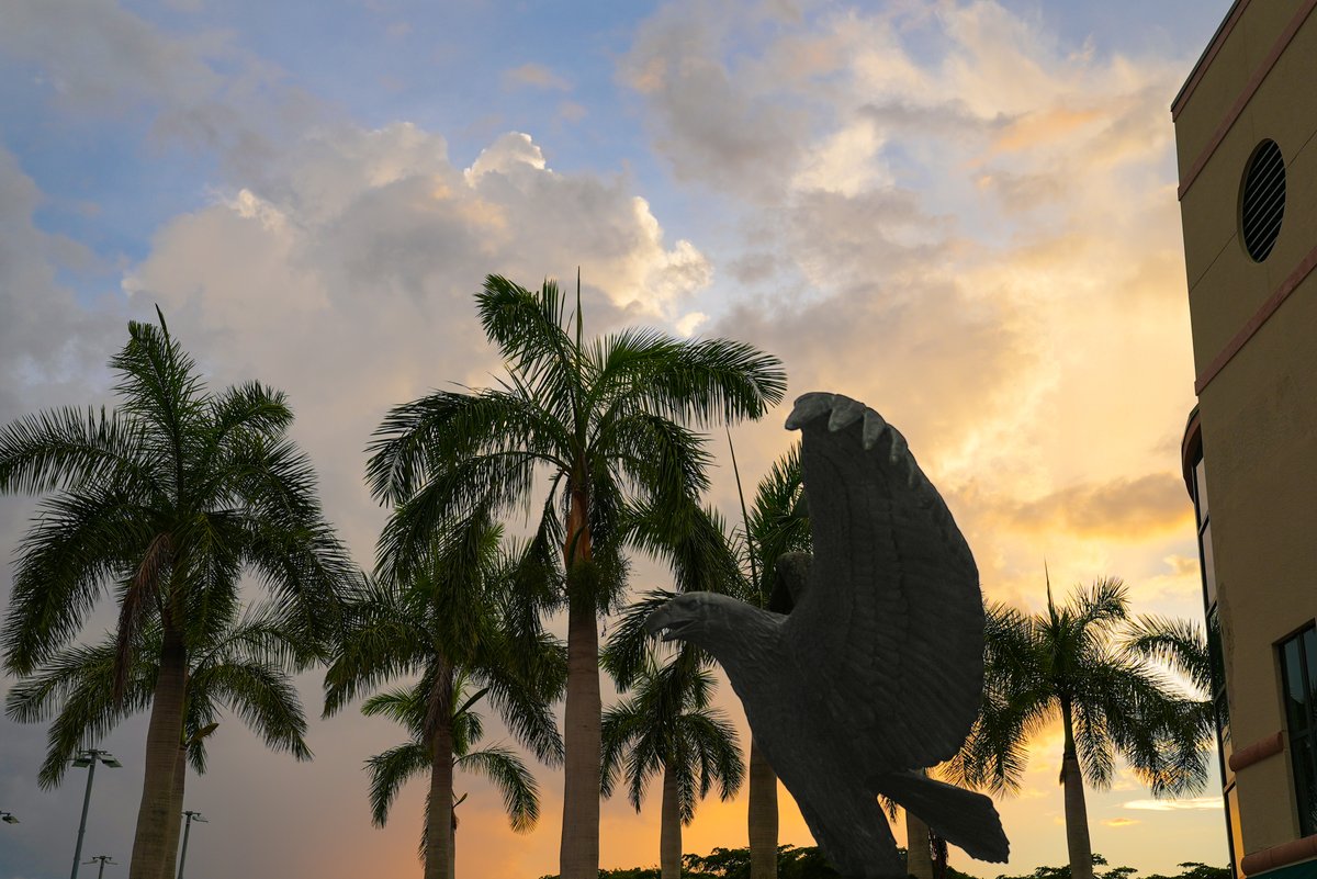 Sand. Sunset. Unmatched. 🌅

#WingsUp