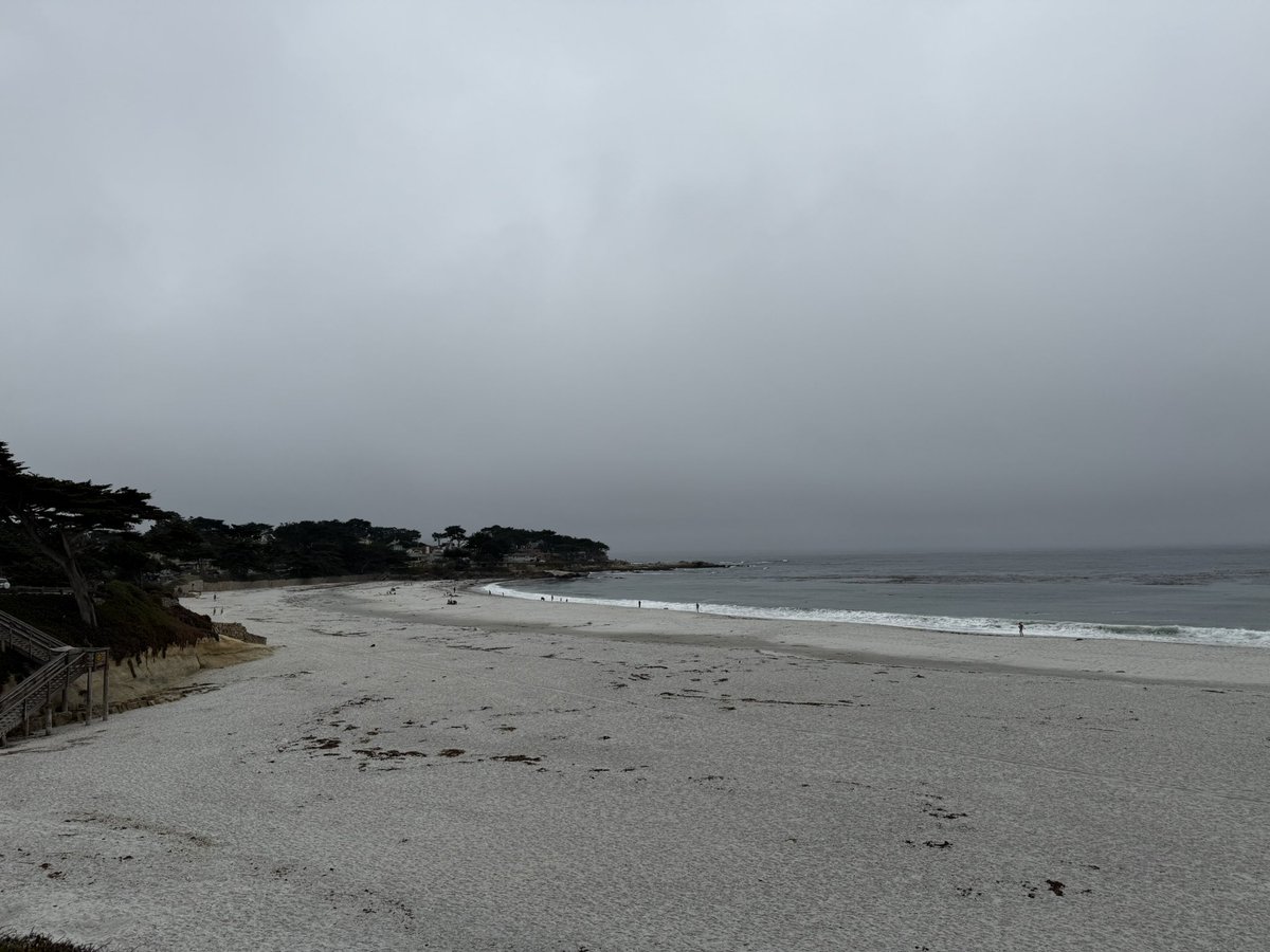Foggy day at Carmel beach but still feeling more laxxed than action Bronson at a Hungarian Michelin star restaurant