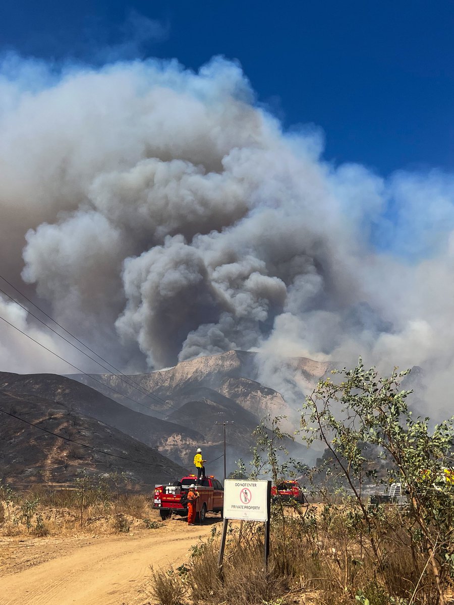 Canyon Fire 600+ acres 

From my friend 📸 Johnny Corona 

#CanyonFire
