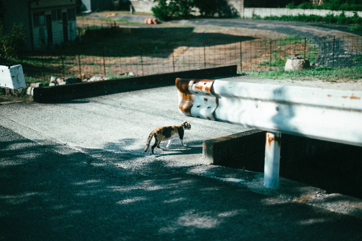 たよ (@ta062yo) on Twitter photo 