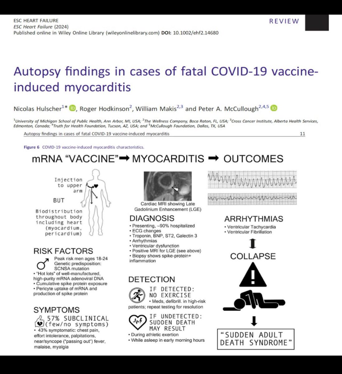 P_McCulloughMD's tweet photo. Mechanism of Sudden Unexplained Pandemic Death

https://t.co/7Z5sOoISpl https://t.co/iRgHrdgJ0s