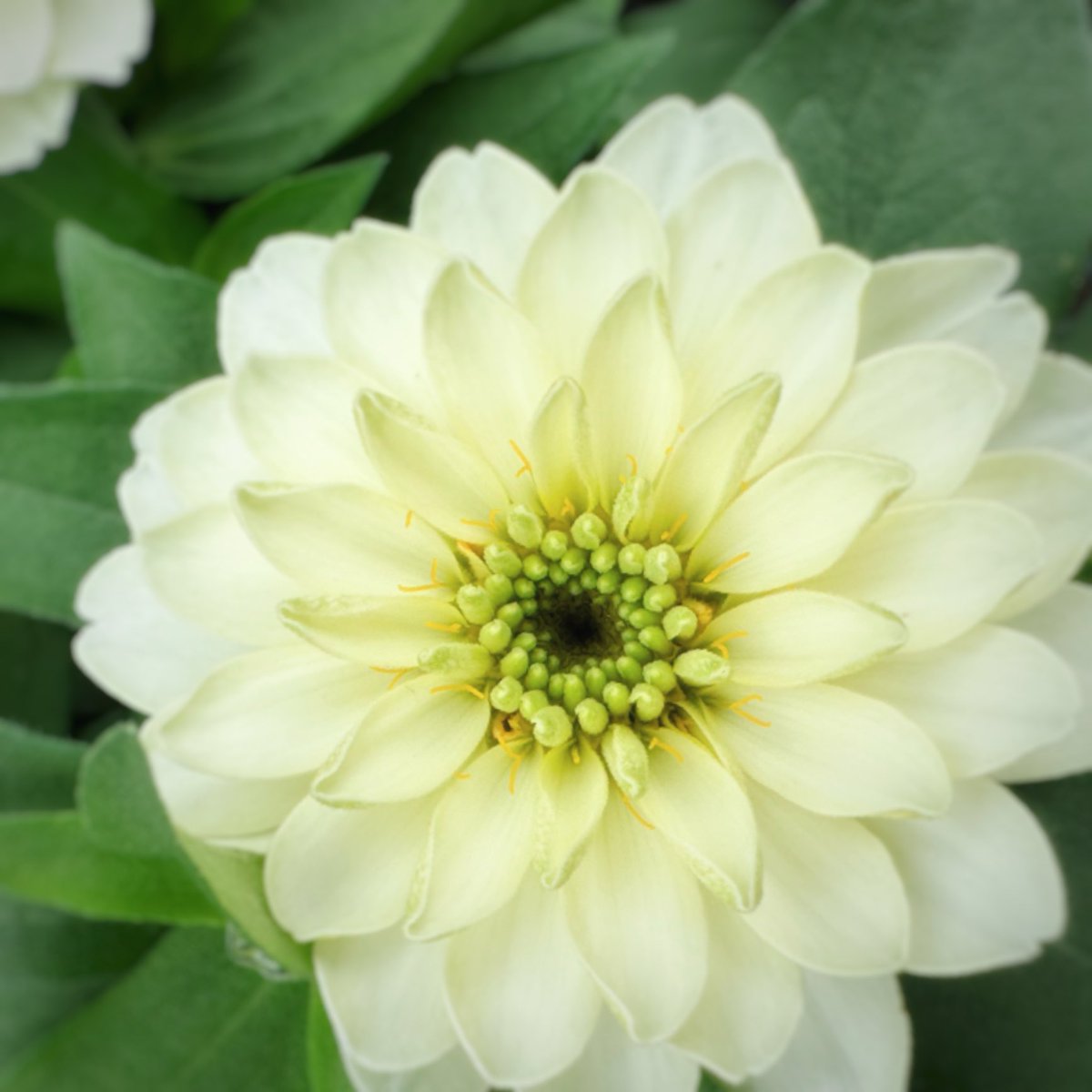 おはようございます。

日曜から旅行なのに、まだ準備が全然できていない…
最初はあまりワクワクしていなかった旅行、聖地巡礼ができる！とわかってからは楽しみしかない☺️
全力で楽しむためにも、旅行前にできることは片付けちゃいたい！頑張る！

皆さんにとって、穏やかな一日になりますように。