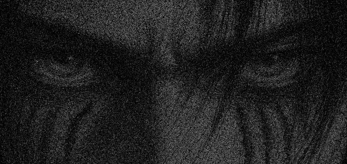 nocturnal tweet media