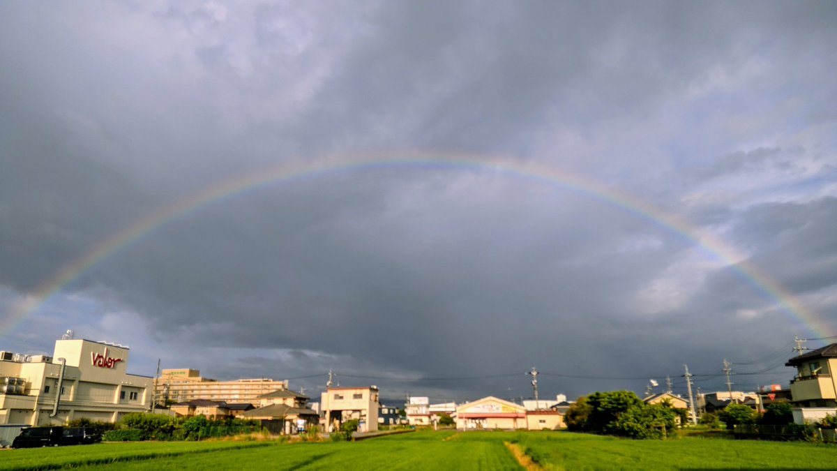ﾊﾖｻﾞｽ(´д⊂)‥
あれは…あまぐものつえ追撃レインボー🌈
ワンパン狩りしてはる
#ドラクエウォーク
