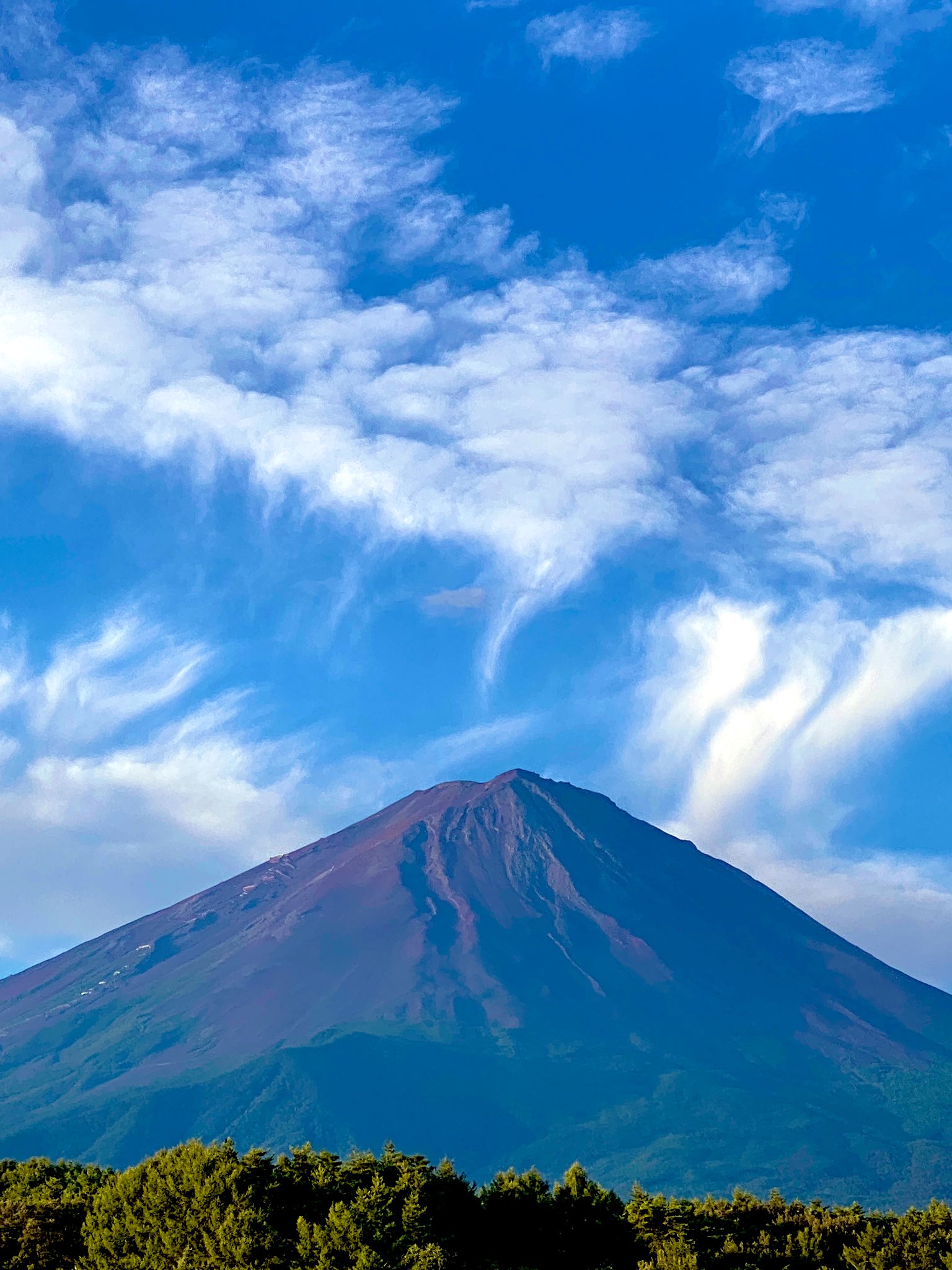 富士山コレクター大宮仁 on X: 