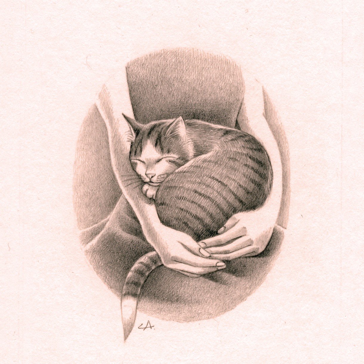❤猫好き(❁ᴗ͈ˬᴗ͈)　絵画　270×220 EMY on X: 