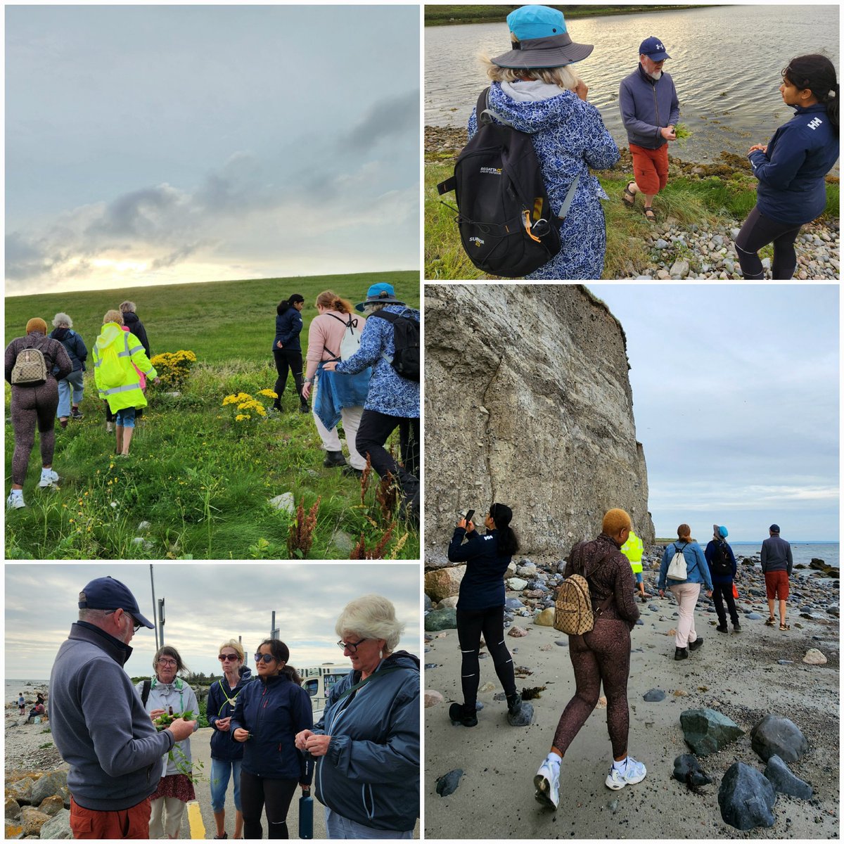 Coastal Foraging with Brian Gannon, Wild Foods 🌱

And a Clean Coasts beach clean with Sandlarks <a href="/sandlarks/">Sandlarks</a> #Galway #Gaillimh #WomansShed