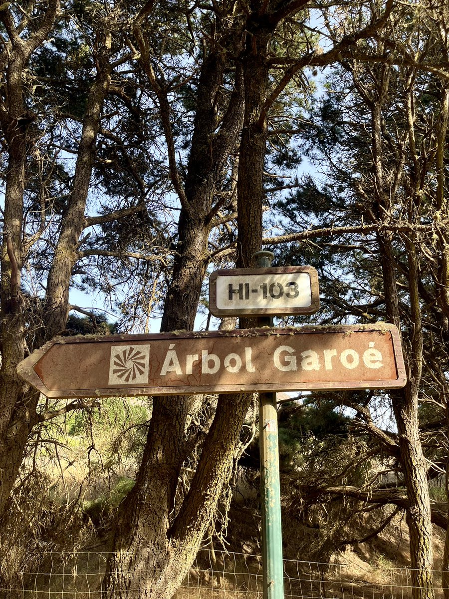 Albertolmr06's tweet photo. El Hierro (Chill 😜) https://t.co/Drl89G2zx8