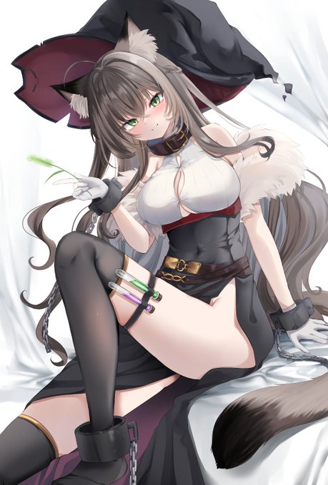 🐈🐈(再掲)
みんなの猫ちゃんもみたいっ!! 