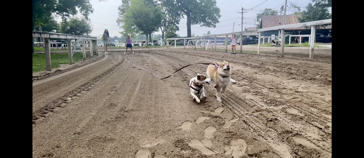 OutrunTheOdds's tweet image. Will this match race live up to the hype? @MaggieWolfndale