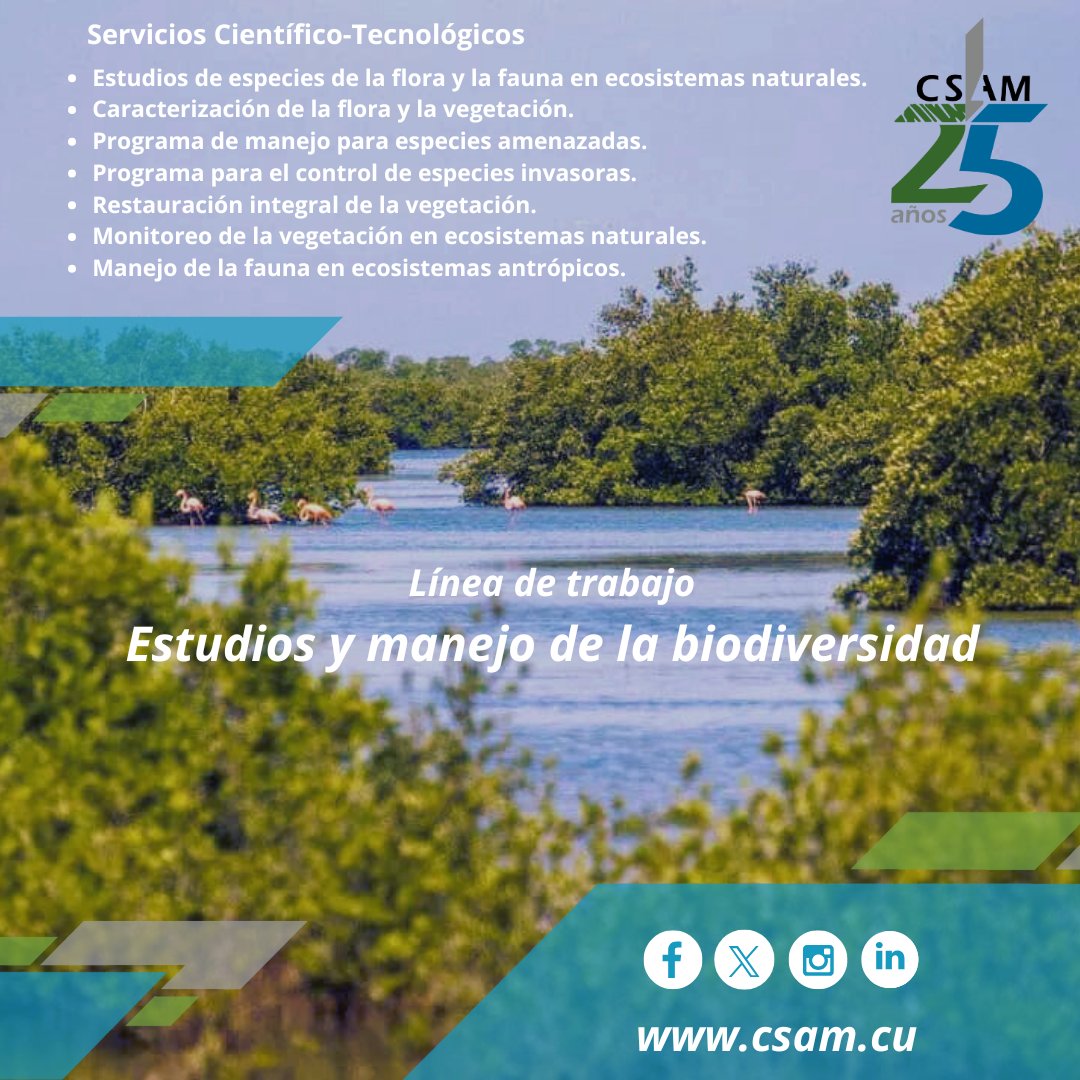 📢 Retomamos la presentación de nuestras líneas de trabajo, corresponde hoy a los ESTUDIOS Y MANEJO DE LA BIODIVERSIDAD
.
.  
. 
#Cumplimos25 #25deCompromiso #25XlaSostenibilidad #25XlaCalidad #25XlaInnovacion #25XlaResponsabilidadSocioAmbiental #CSAM #AMACuba #CitmaCuba
