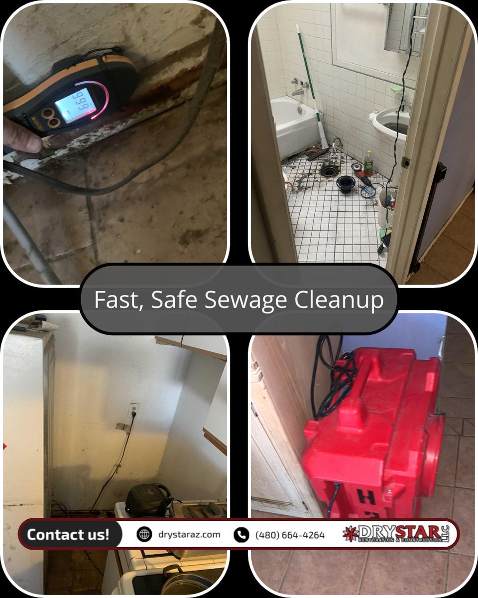 Sewage backups are more than a mess — they’re a serious health hazard.
They can spread harmful bacteria, damage your property, and create unsafe living conditions fast.

Call Dry Star Restoration today
24/7 Emergency Service

#DryStarRestoration #SewageCleanup #RestorationExperts