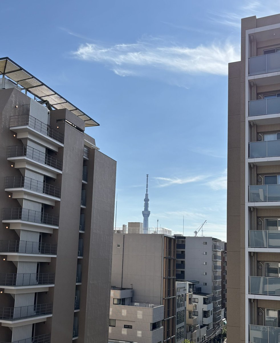 8月8日きんようび、おはようございます☀️

今朝の東京スカイツリー、暑いです🫠

今日は世界猫の日、超特急8号車の日、笑いの日、フジテレビの日、いろんな日があるみたい、朝ポストをしていると少しは物知りになるのかなあと思いました🙌

連休前、1日頑張りましょ👏

#世界猫の日
#超特急_8号車の日